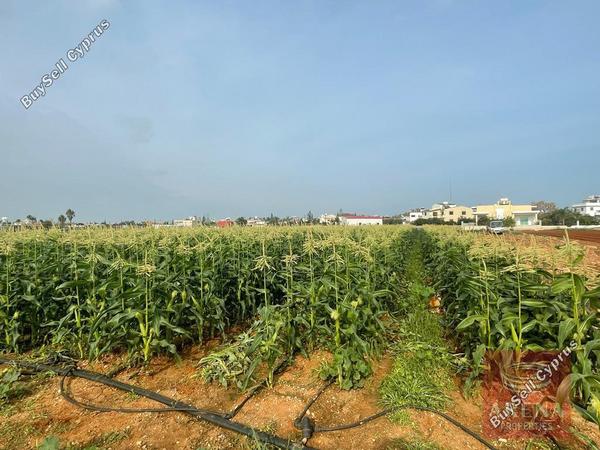 land for sale sotira ammochostou famagusta 1269032 image 13155523