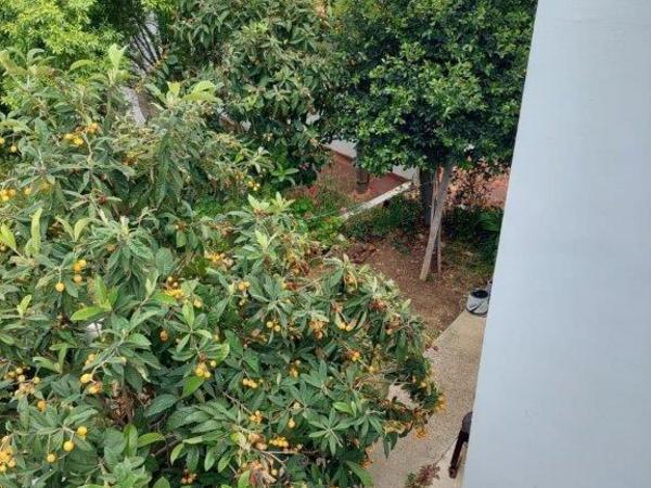 studio building for sale armou paphos 1355032 image 5617881