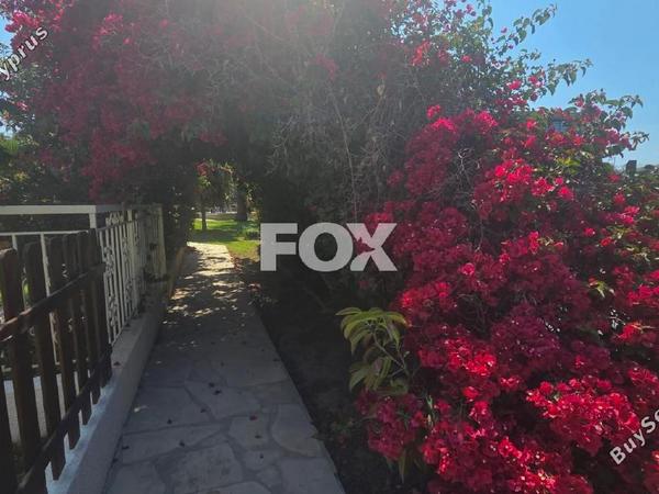 2 bedroom town house for rent potamos germasogeias limassol 8560132 image 16152369