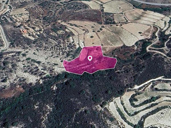 land for sale agios mamas limassol 1213132 image 14113555