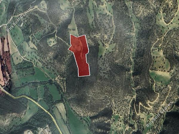 land for sale agios theodoros larnacas larnaca 8429132 image 14982971