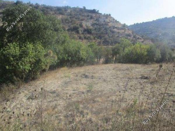 land for sale kallepeia paphos 7533132 image 15596864