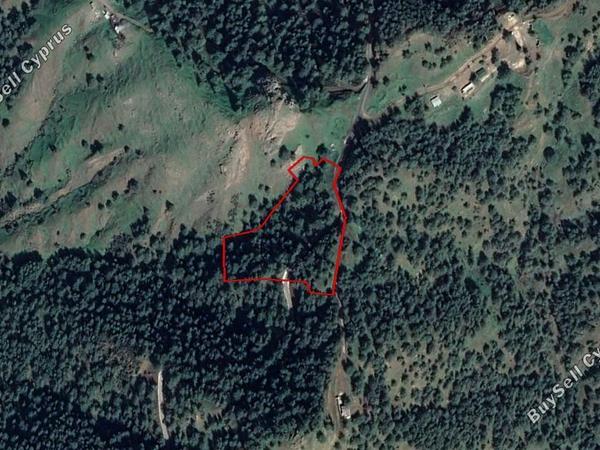 land for sale pigenia nicosia 830132 image 15664169