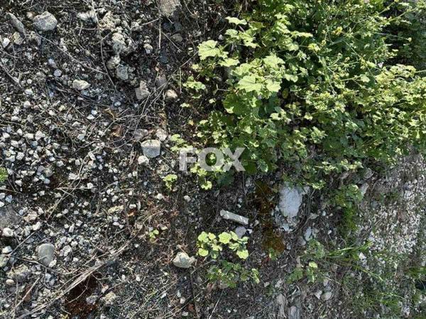 plot for sale anarita paphos 1270132 image 15924780