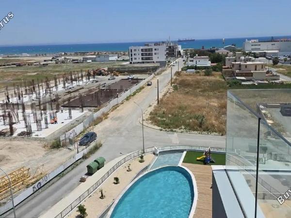 3 bedroom apartment for rent livadia larnacas larnaca 8786232 image 16667264