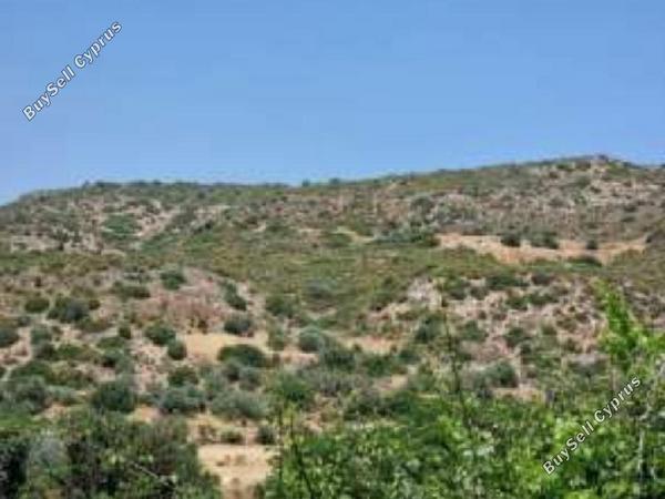 land for sale agios theodoros larnacas larnaca 8716232 image 16295229