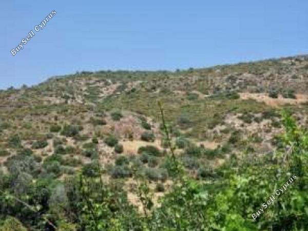 land for sale agios theodoros larnacas larnaca 8716232 image 16295230
