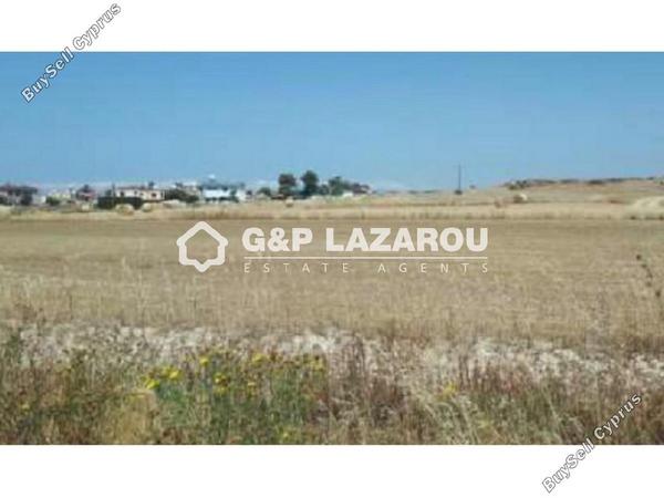 land for sale athienou larnaca 1688232 image 6023614