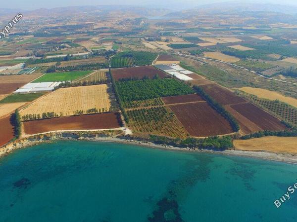 land for sale mandria pafou paphos 1451232 image 4943482