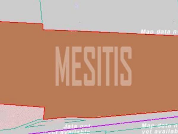 land for sale avgorou famagusta 8081332 image 13098976