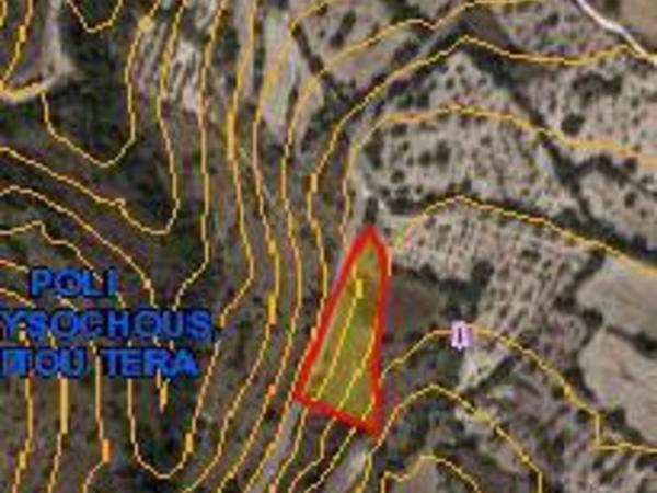 land for sale kritou tera paphos 1937332 image 10052386