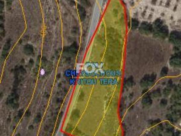 land for sale kritou tera paphos 1937332 image 10052388