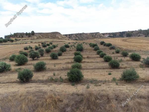 land for sale pera orinis nicosia 8139332 image 15907238