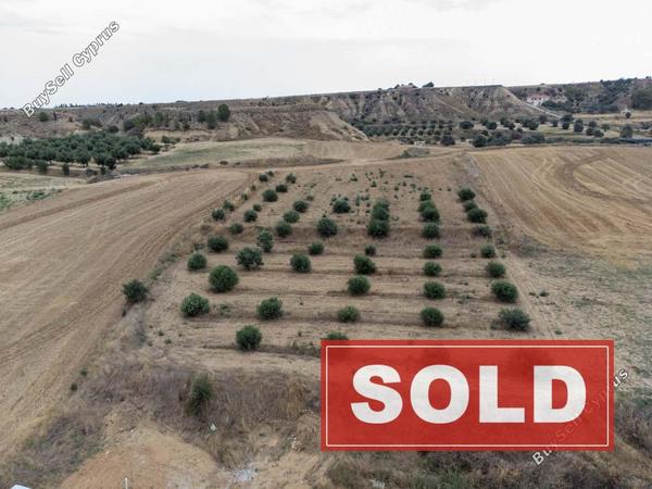 land sold pera orinis nicosia 8139332 image 15907241