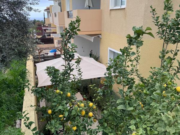2 bedroom apartment for sale tala paphos 8225432 image 17095937