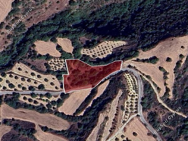 land for sale kato akourdalia paphos 1721432 image 15597261