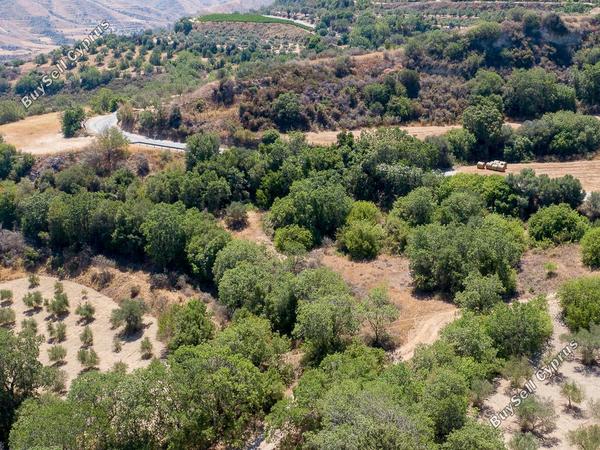 land for sale kato akourdalia paphos 1721432 image 15597268