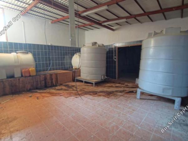 land for sale lemona paphos 7756432 image 15907398