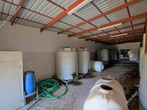 land for sale lemona paphos 7756432 image 15907400