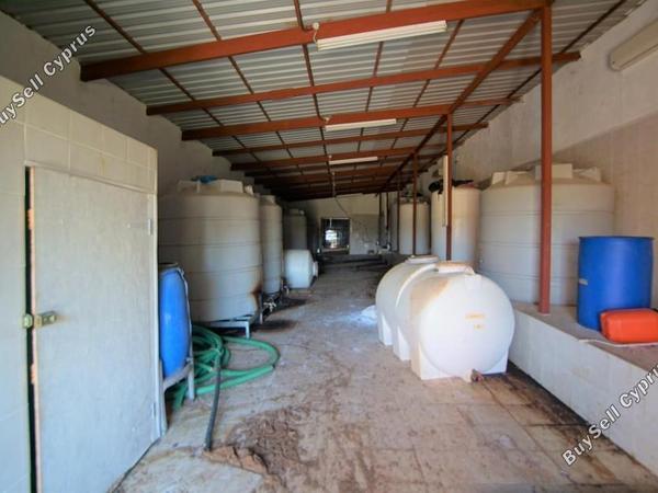 land for sale lemona paphos 7756432 image 15907401