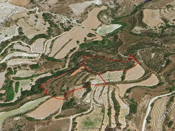 land for sale lemona paphos 7756432 image 15907406