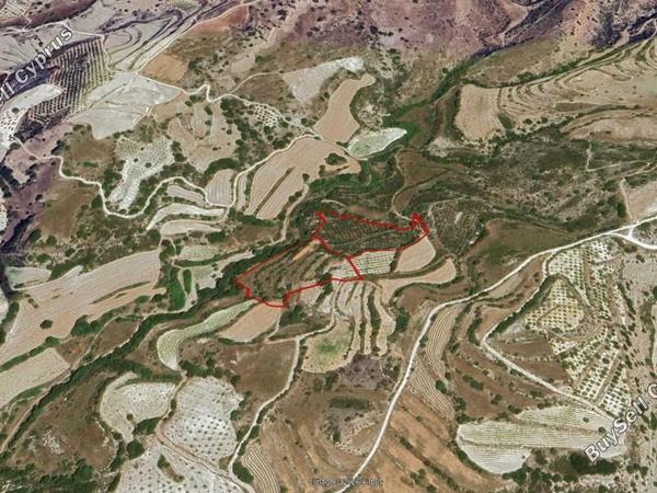 land for sale lemona paphos 7756432 image 15907407