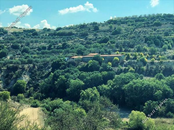 land for sale lemona paphos 7756432 image 15907408