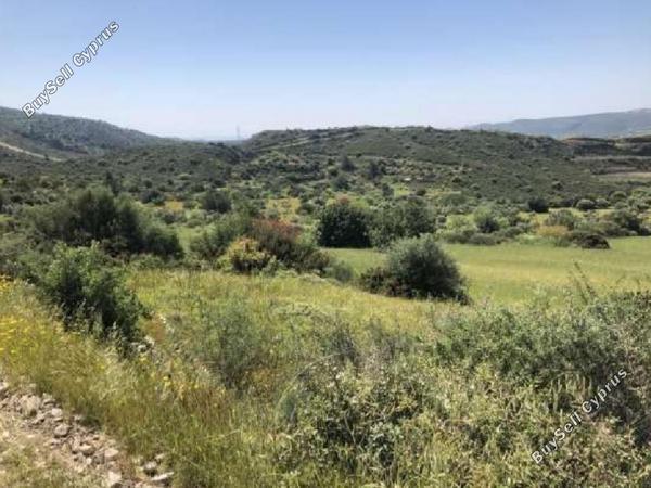 land for sale ora larnaca 967432 image 1511815