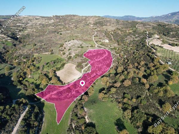 land for sale psathi paphos 1897432 image 14205602