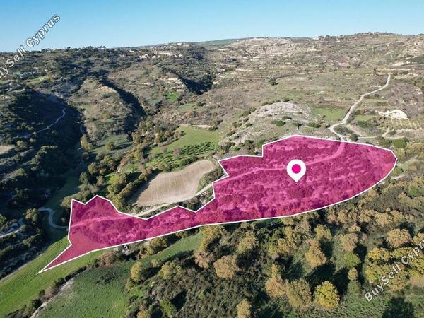 land for sale psathi paphos 1897432 image 14205603