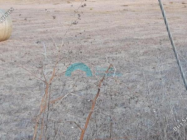 land for sale zygi larnaca 841432 image 5393743