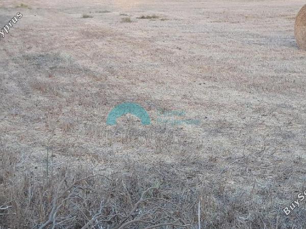 land for sale zygi larnaca 841432 image 5393748