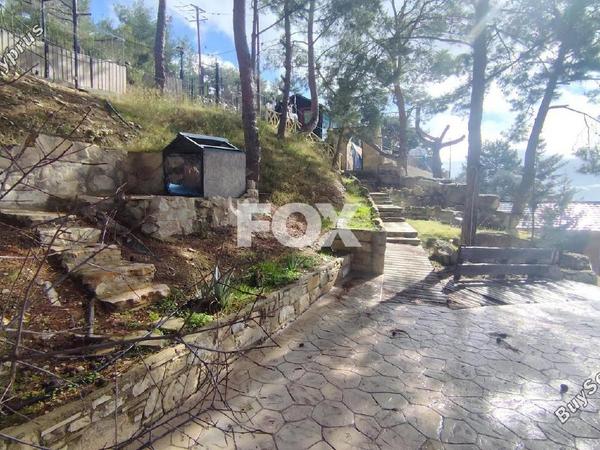 3 bedroom detached house for rent korfi limassol 8076532 image 14874339