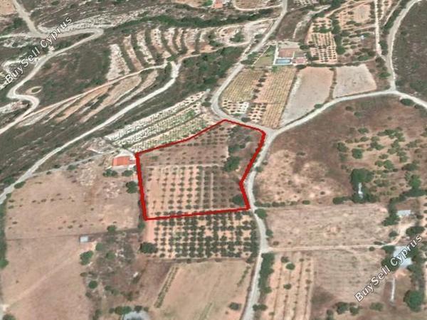 land for sale doros limassol 1548532 image 5892913