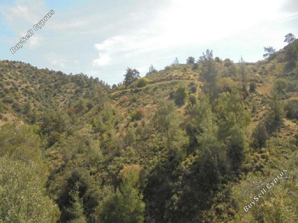 land for sale kalo chorio lemesou limassol 927532 image 15600716