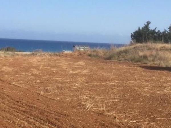 land for sale nea dimmata paphos 8395532 image 14820151