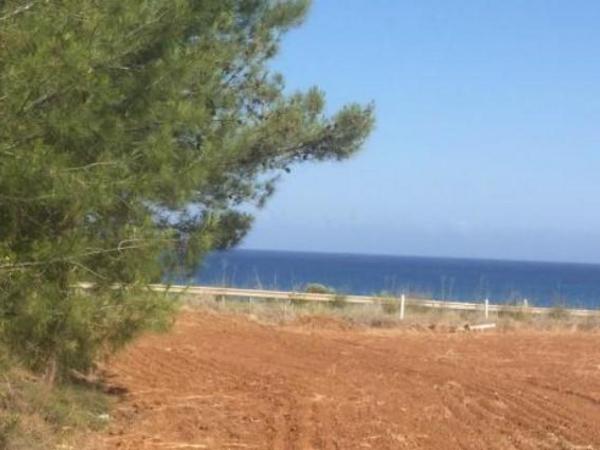 land for sale nea dimmata paphos 8395532 image 14820152