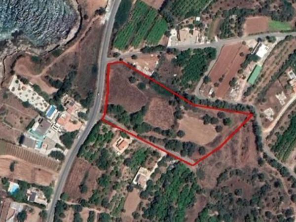 land for sale nea dimmata paphos 8395532 image 14820153