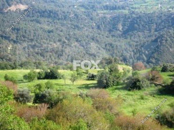 land for sale paphos municipality paphos 1158532 image 5486878