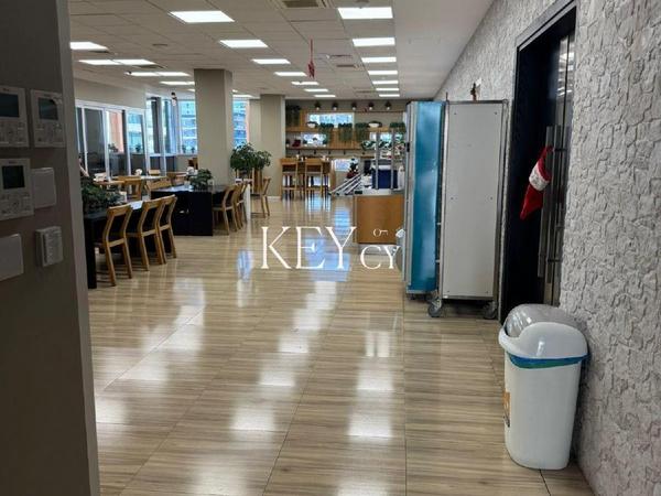 studio office for rent linopetra limassol 8890532 image 17320631