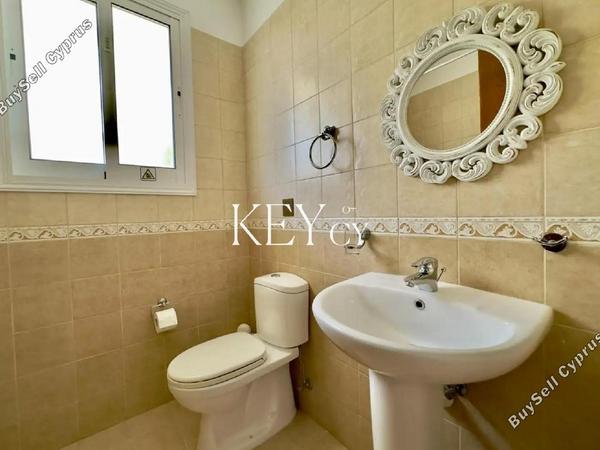 1 bedroom apartment for rent kato paphos universal paphos 8890632 image 17320890