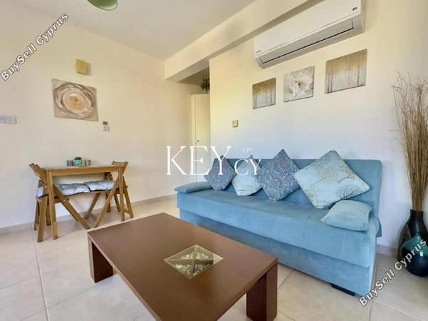 1 bedroom apartment for rent kato paphos universal paphos 8890632 image 17320893