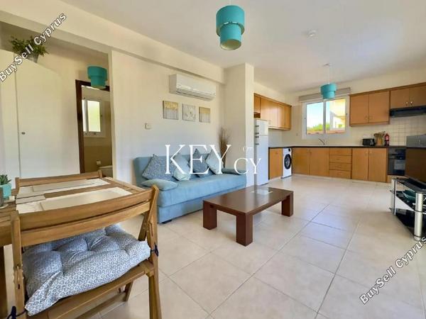 1 bedroom apartment for rent kato paphos universal paphos 8890632 image 17320895