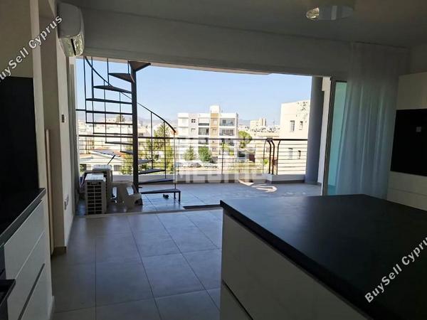 2 bedroom apartment for rent strovolos nicosia 8772632 image 16601355