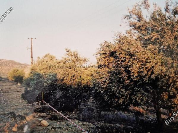 land for sale agios theodoros larnacas larnaca 7544632 image 9491128