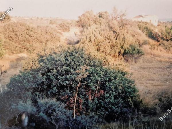 land for sale agios theodoros larnacas larnaca 7544632 image 9491129