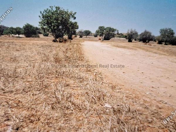 land for sale agios theodoros larnacas larnaca 7544632 image 9491132