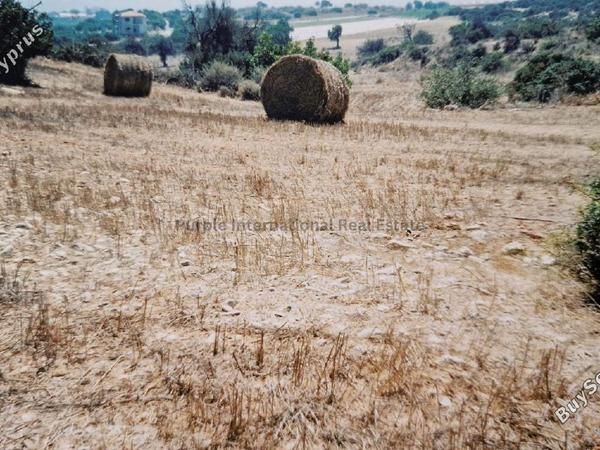 land for sale agios theodoros larnacas larnaca 7544632 image 9491133