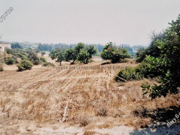 land for sale agios theodoros larnacas larnaca 7544632 image 9491134
