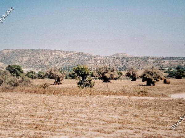 land for sale agios theodoros larnacas larnaca 7544632 image 9491135